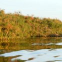 BWA_NW_OkavangoDelta_2016DEC01_Nguma_057.jpg
